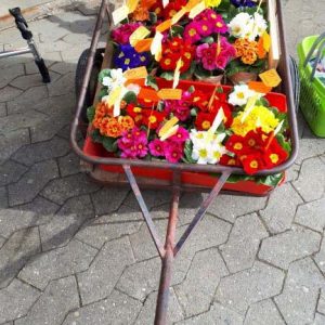 Landfrauen Stubersheim Frühlings –  Aktion