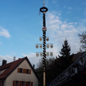 Stubersheimer Landfrauen beim Kranzbinden für den  Maibaum