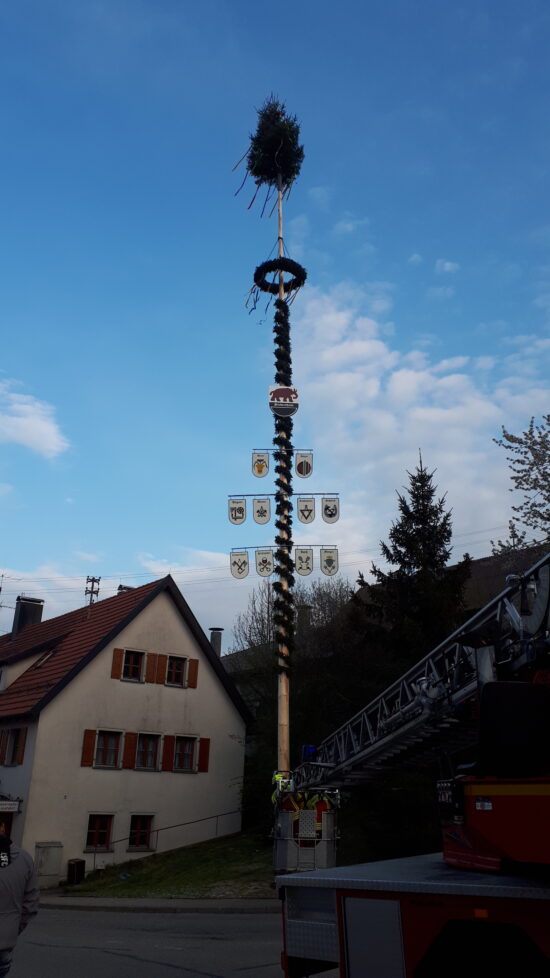 Stubersheimer Landfrauen beim Kranzbinden für den  Maibaum