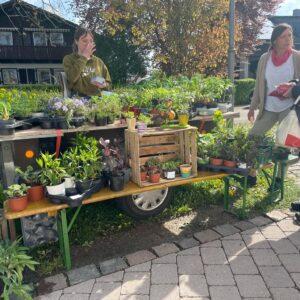 1. Gartenflohmarkt in Steinenkirch