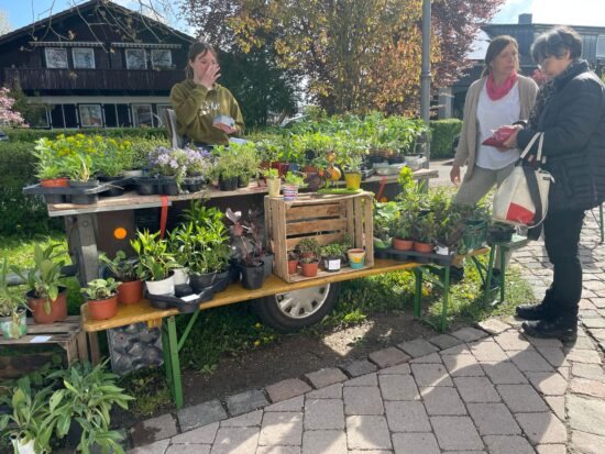 1. Gartenflohmarkt in Steinenkirch