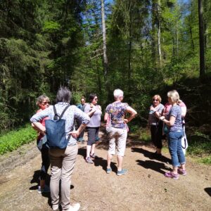 Kräuter Wanderung ins Vögelestal