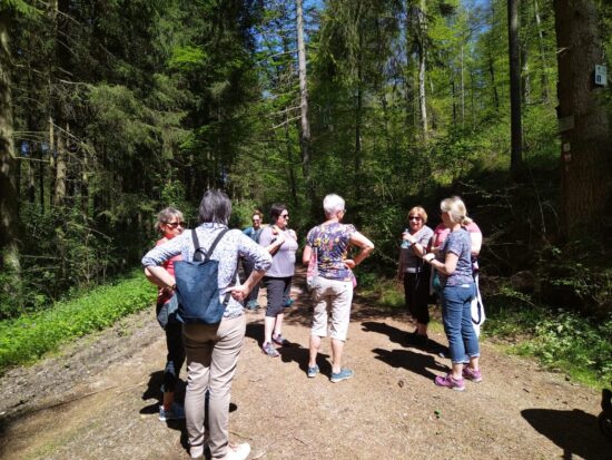 Kräuter Wanderung ins Vögelestal